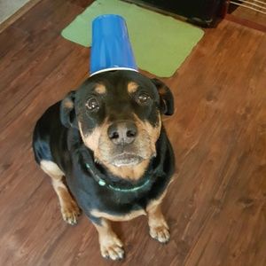 Meet your Posher, Nancy